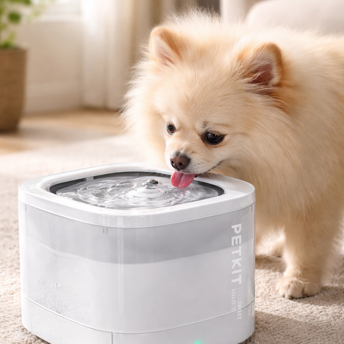 Fontaine d’Eau Intelligente PETKIT EVERSWEET SOLO SE – Ultra Silencieuse & Filtration 3.0
